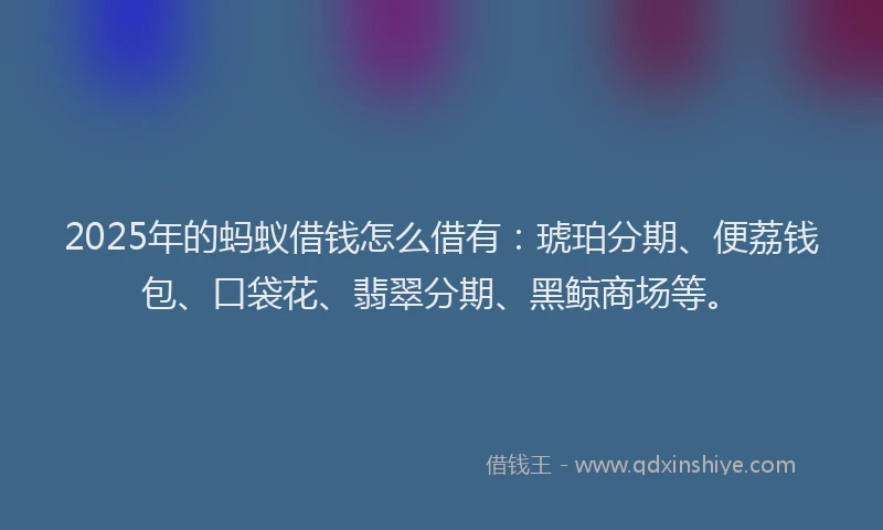 2025年的蚂蚁借钱怎么借有：琥珀分期、便荔钱包、口袋花、翡翠分期、黑鲸商场等。