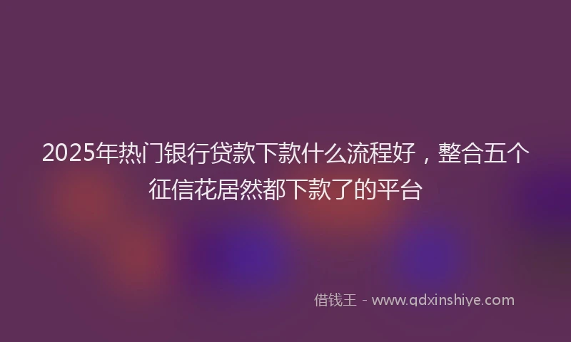 2025年热门银行贷款下款什么流程好，整合五个征信花居然都下款了的平台