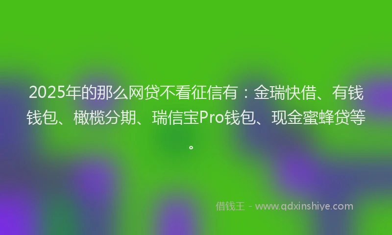 2025年的那么网贷不看征信有:金瑞快借、有钱钱包、橄榄分期、瑞信宝Pro钱包、现金蜜蜂贷等。