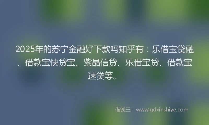 2025年的苏宁金融好下款吗知乎有：乐借宝贷融、借款宝快贷宝、紫晶信贷、乐借宝贷、借款宝速贷等。