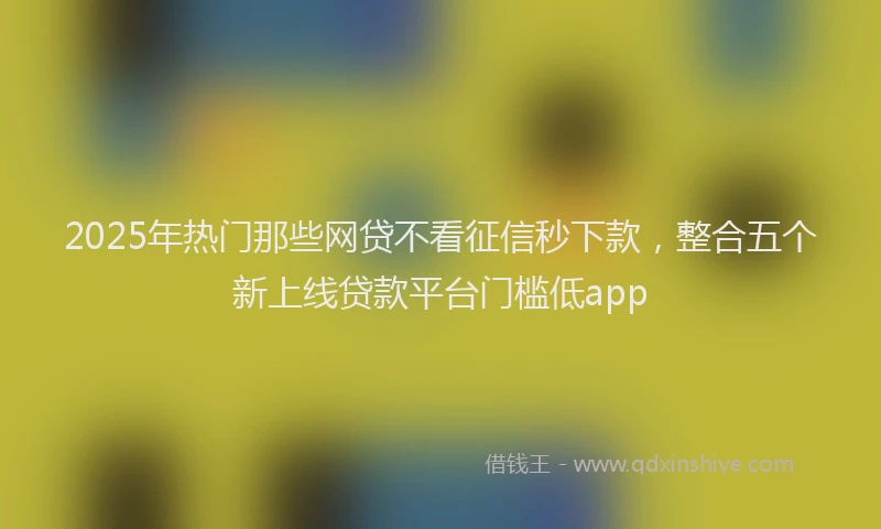 2025年热门那些网贷不看征信秒下款，整合五个新上线贷款平台门槛低app