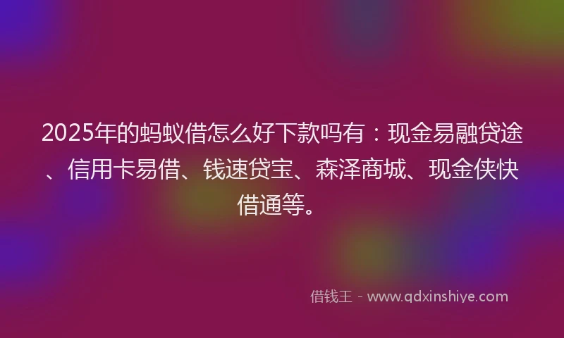 2025年的蚂蚁借怎么好下款吗有：现金易融贷途、信用卡易借、钱速贷宝、森泽商城、现金侠快借通等。