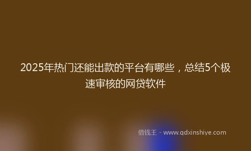 2025年热门还能出款的平台有哪些,总结5个极速审核的网贷软件