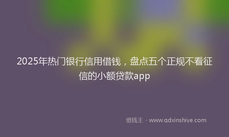 2025年热门银行信用借钱，盘点五个正规不看征信的小额贷款app