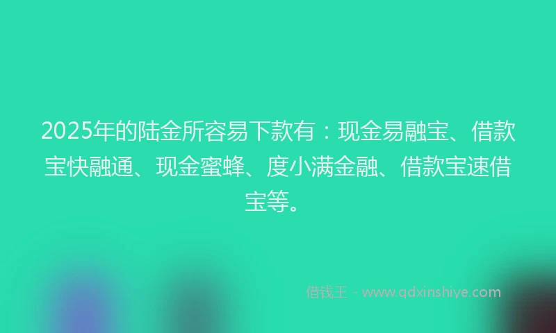 2025年的陆金所容易下款有：现金易融宝、借款宝快融通、现金蜜蜂、度小满金融、借款宝速借宝等。