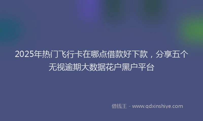 2025年热门飞行卡在哪点借款好下款，分享五个无视逾期大数据花户黑户平台