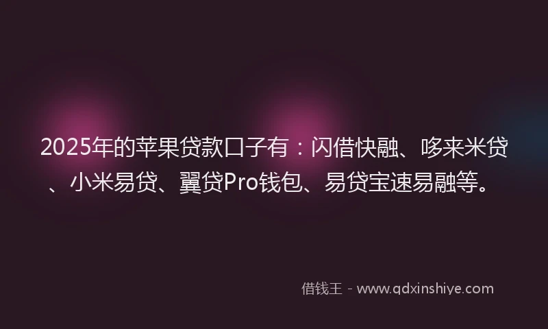 2025年的苹果贷款口子有：闪借快融、哆来米贷、小米易贷、翼贷Pro钱包、易贷宝速易融等。