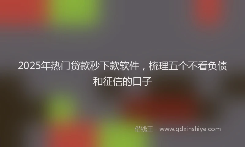 2025年热门贷款秒下款软件,梳理五个不看负债和征信的口子