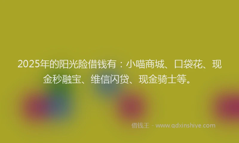 2025年的阳光险借钱有：小喵商城、口袋花、现金秒融宝、维信闪贷、现金骑士等。