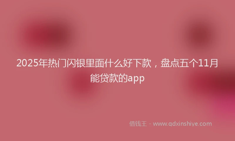2025年热门闪银里面什么好下款，盘点五个11月能贷款的app
