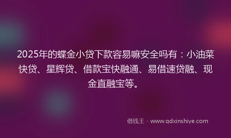 2025年的蝶金小贷下款容易嘛安全吗有：小油菜快贷、星辉贷、借款宝快融通、易借速贷融、现金直融宝等。