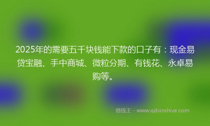 2025年的需要五千块钱能下款的口子有：现金易贷宝融、手中商城、微粒分期、有钱花、永卓易购等。