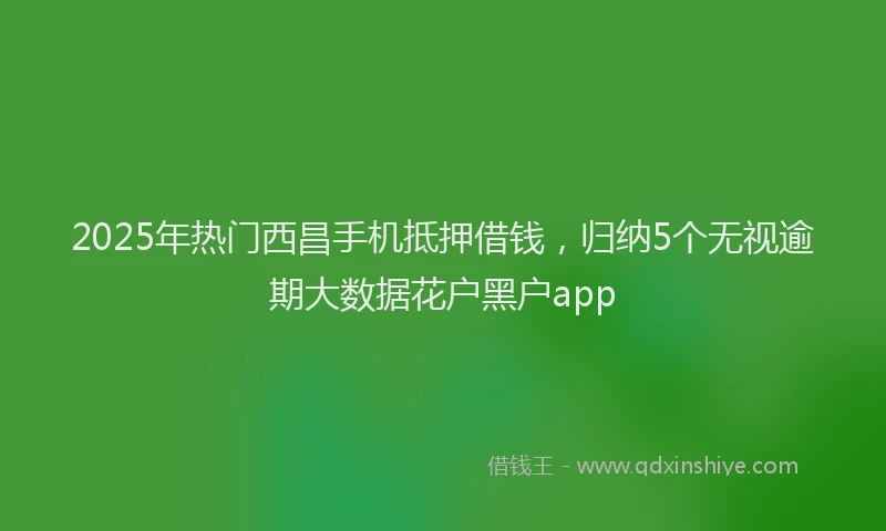 2025年热门西昌手机抵押借钱，归纳5个无视逾期大数据花户黑户app