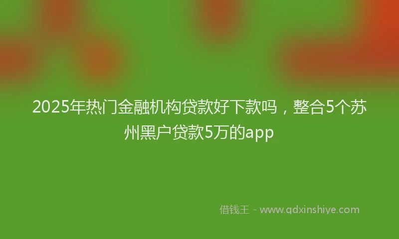 2025年热门金融机构贷款好下款吗，整合5个苏州黑户贷款5万的app