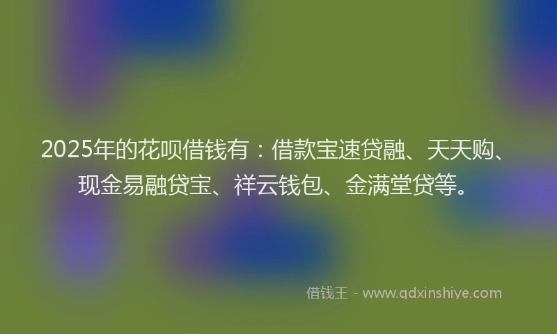 2025年的花呗借钱有：借款宝速贷融、天天购、现金易融贷宝、祥云钱包、金满堂贷等。