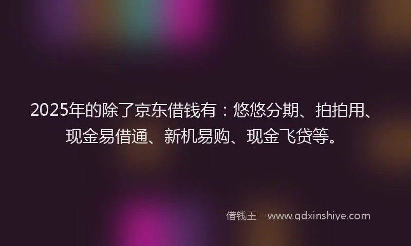 2025年的除了京东借钱有：悠悠分期、拍拍用、现金易借通、新机易购、现金飞贷等。