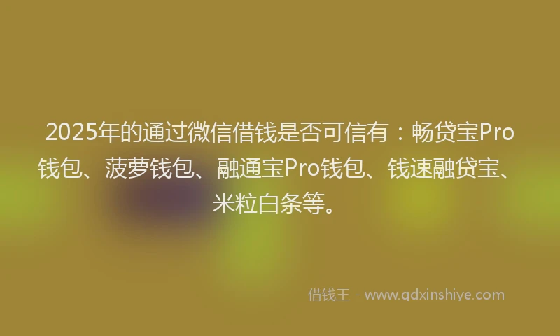 2025年的通过微信借钱是否可信有:畅贷宝Pro钱包、菠萝钱包、融通宝Pro钱包、钱速融贷宝、米粒白条等。
