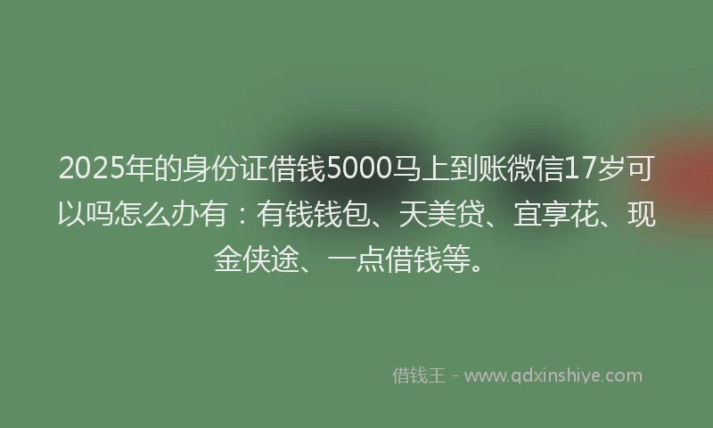 2025年的身份证借钱5000马上到账微信17岁可以吗怎么办有：有钱钱包、天美贷、宜享花、现金侠途、一点借钱等。