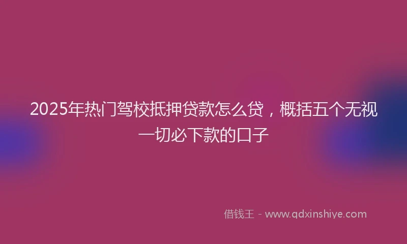 2025年热门驾校抵押贷款怎么贷，概括五个无视一切必下款的口子