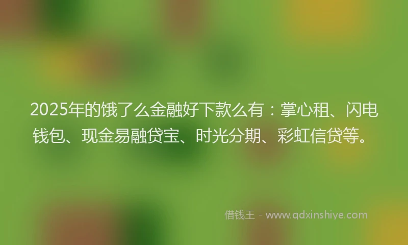 2025年的饿了么金融好下款么有:掌心租、闪电钱包、现金易融贷宝、时光分期、彩虹信贷等。