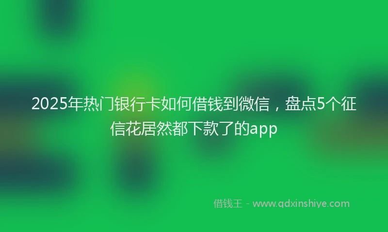 2025年热门银行卡如何借钱到微信,盘点5个征信花居然都下款了的app