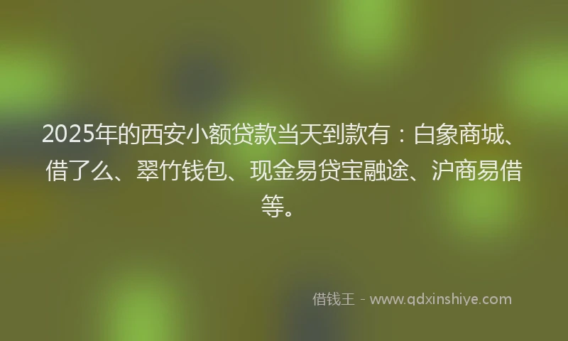 2025年的西安小额贷款当天到款有：白象商城、借了么、翠竹钱包、现金易贷宝融途、沪商易借等。