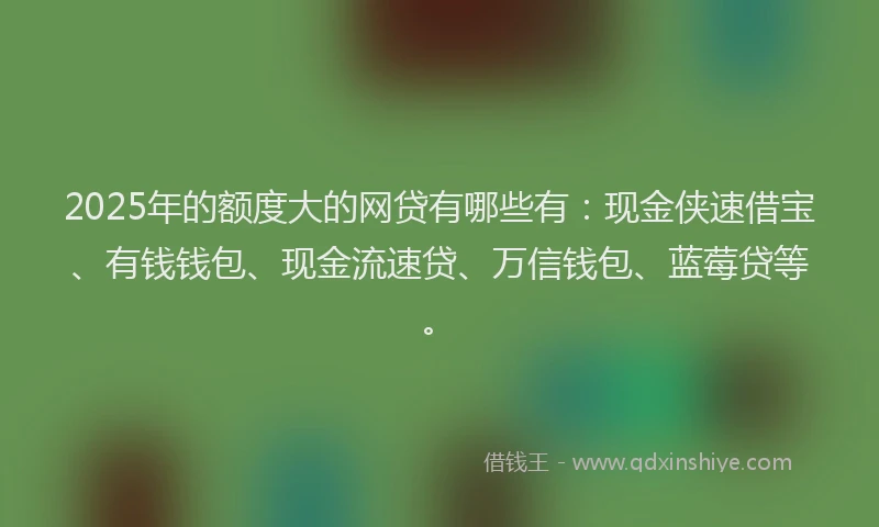2025年的额度大的网贷有哪些有：现金侠速借宝、有钱钱包、现金流速贷、万信钱包、蓝莓贷等。
