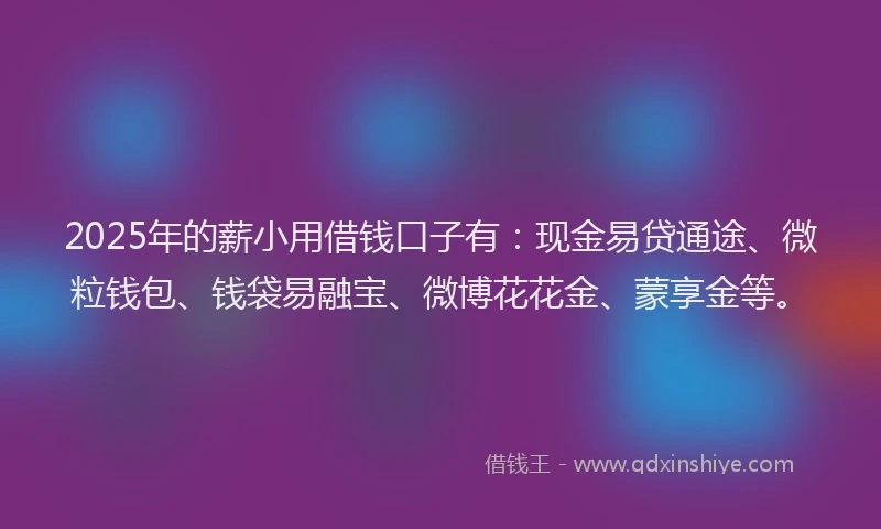 2025年的薪小用借钱口子有:现金易贷通途、微粒钱包、钱袋易融宝、微博花花金、蒙享金等。