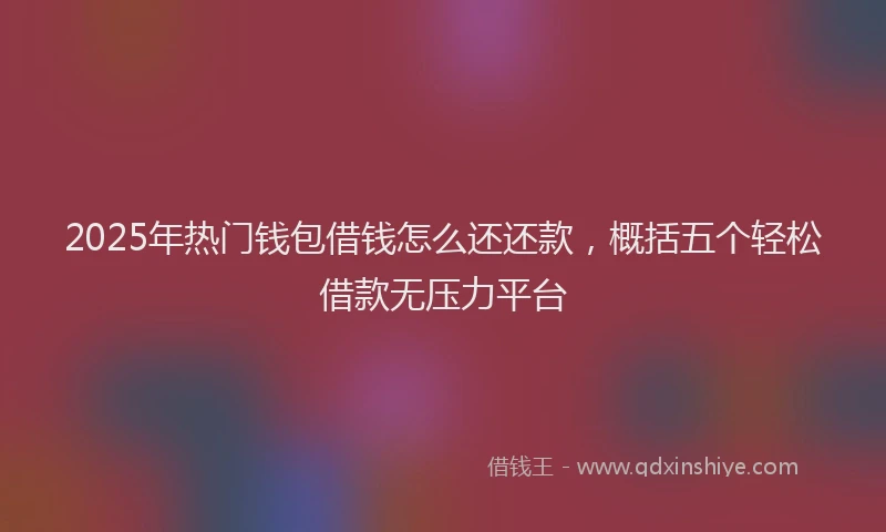 2025年热门钱包借钱怎么还还款，概括五个轻松借款无压力平台