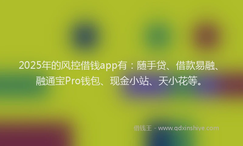 2025年的风控借钱app有：随手贷、借款易融、融通宝Pro钱包、现金小站、天小花等。