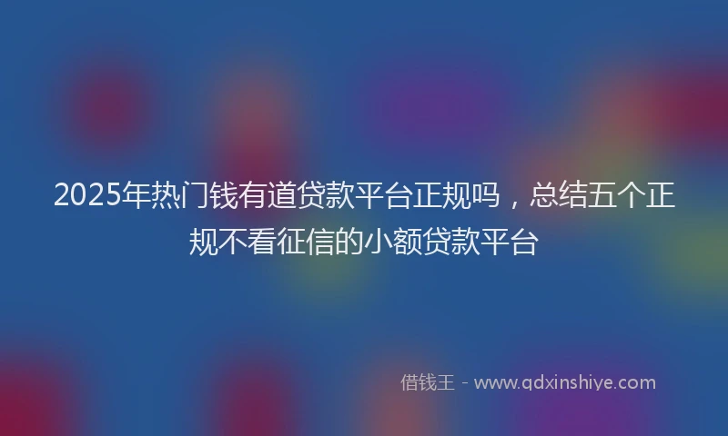 2025年热门钱有道贷款平台正规吗，总结五个正规不看征信的小额贷款平台
