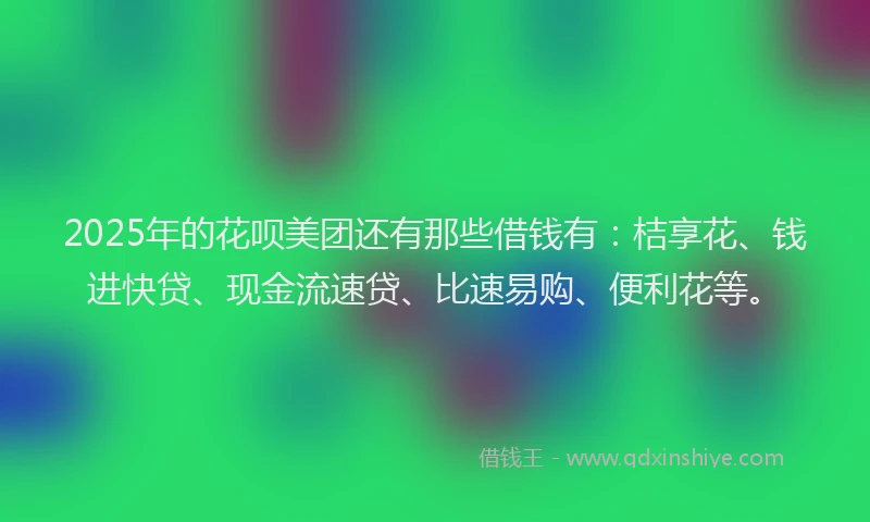 2025年的花呗美团还有那些借钱有：桔享花、钱进快贷、现金流速贷、比速易购、便利花等。