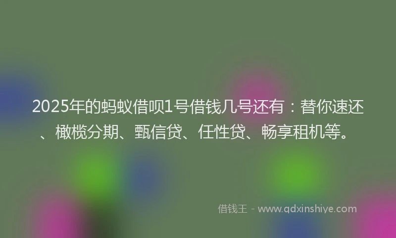 2025年的蚂蚁借呗1号借钱几号还有:替你速还、橄榄分期、甄信贷、任性贷、畅享租机等。