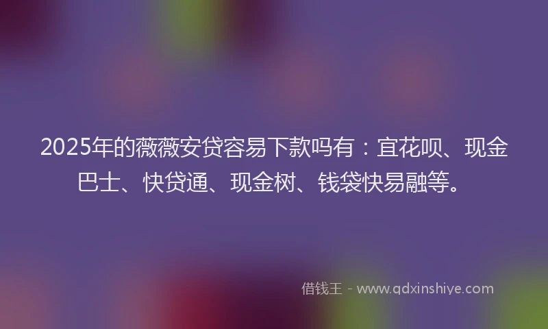 2025年的薇薇安贷容易下款吗有：宜花呗、现金巴士、快贷通、现金树、钱袋快易融等。