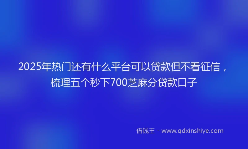 2025年热门还有什么平台可以贷款但不看征信,梳理五个秒下700芝麻分贷款口子