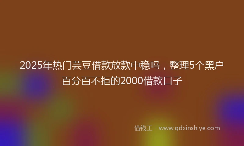 2025年热门芸豆借款放款中稳吗,整理5个黑户百分百不拒的2000借款口子