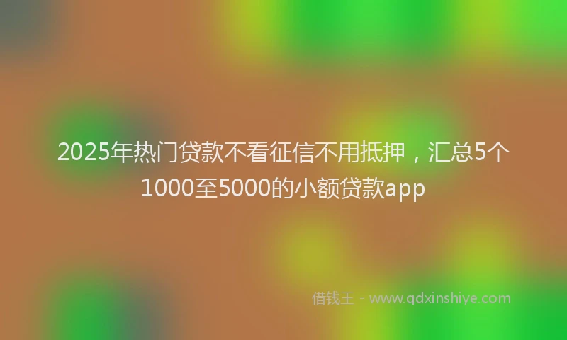 2025年热门贷款不看征信不用抵押,汇总5个1000至5000的小额贷款app