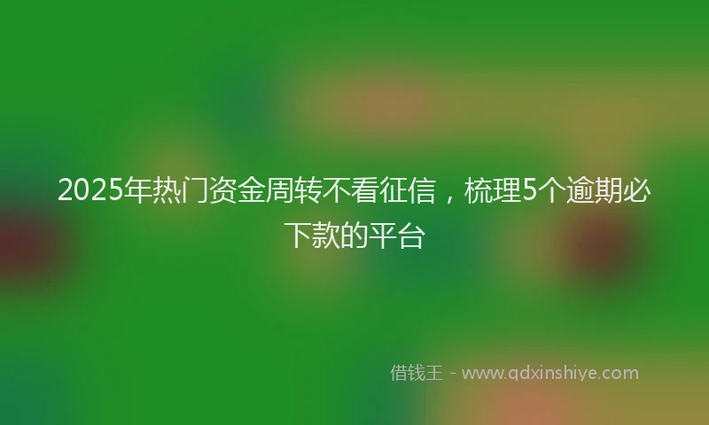 2025年热门资金周转不看征信，梳理5个逾期必下款的平台
