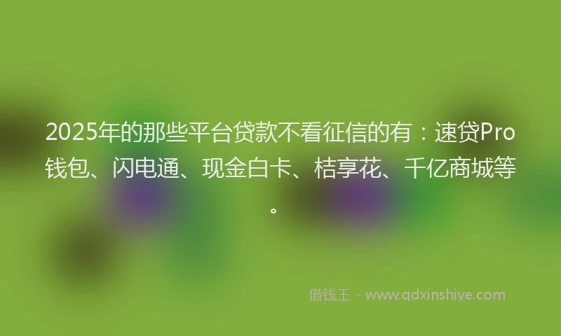 2025年的那些平台贷款不看征信的有：速贷Pro钱包、闪电通、现金白卡、桔享花、千亿商城等。