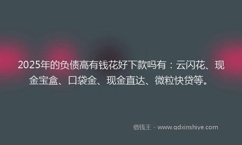 2025年的负债高有钱花好下款吗有:云闪花、现金宝盒、口袋金、现金直达、微粒快贷等。