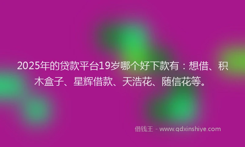 2025年的贷款平台19岁哪个好下款有:想借、积木盒子、星辉借款、天浩花、随信花等。