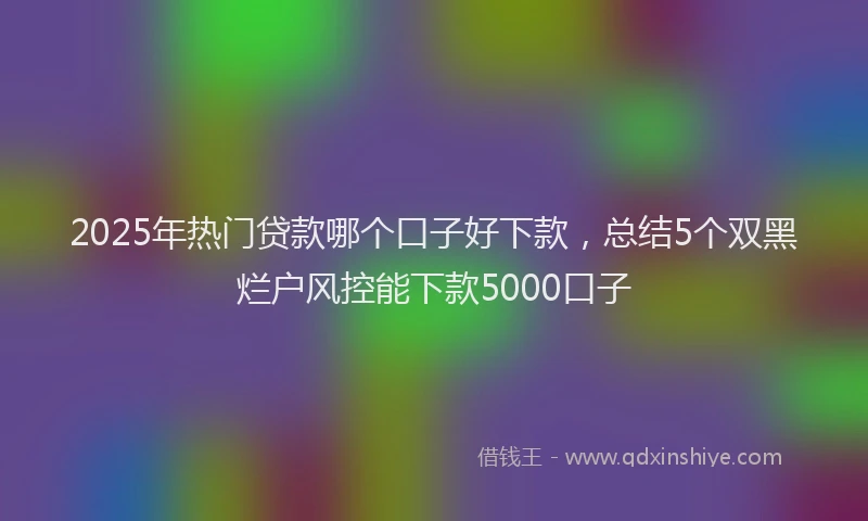 2025年热门贷款哪个口子好下款,总结5个双黑烂户风控能下款5000口子