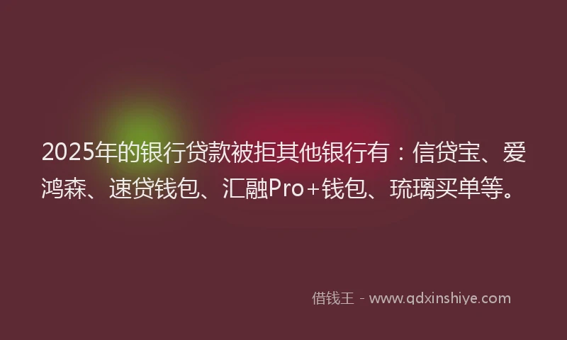 2025年的银行贷款被拒其他银行有：信贷宝、爱鸿森、速贷钱包、汇融Pro+钱包、琉璃买单等。