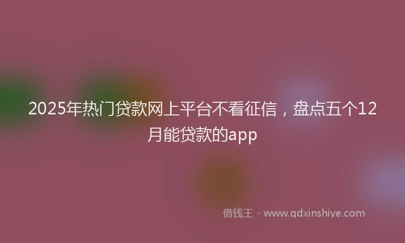 2025年热门贷款网上平台不看征信,盘点五个12月能贷款的app