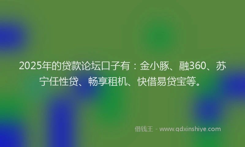 2025年的贷款论坛口子有：金小豚、融360、苏宁任性贷、畅享租机、快借易贷宝等。
