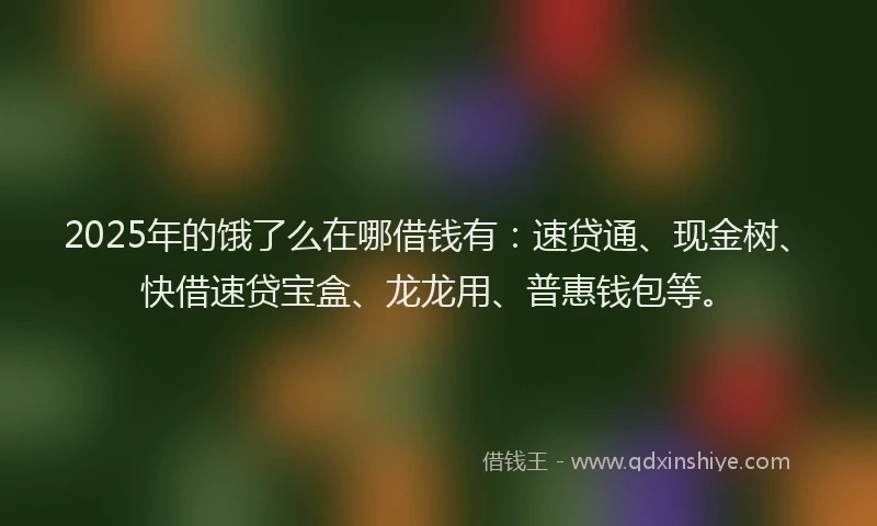 2025年的饿了么在哪借钱有:速贷通、现金树、快借速贷宝盒、龙龙用、普惠钱包等。