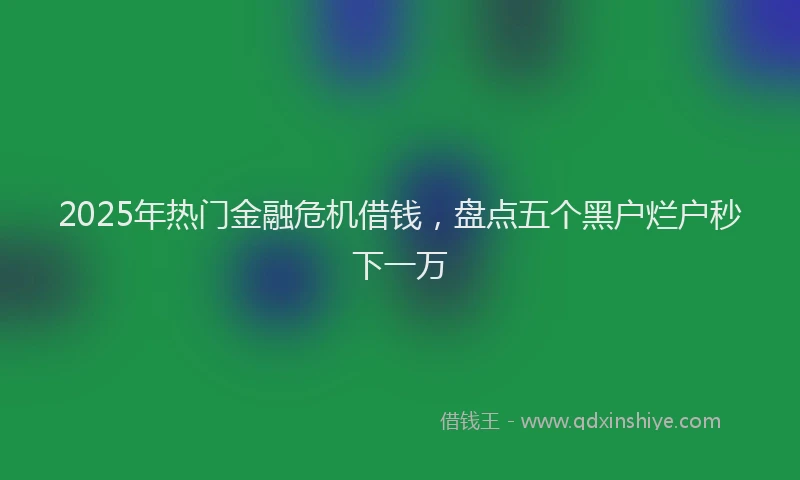 2025年热门金融危机借钱，盘点五个黑户烂户秒下一万