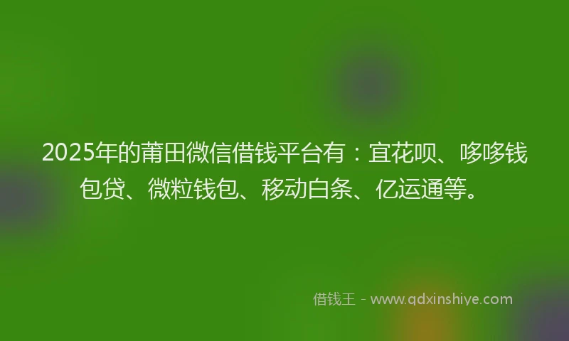 2025年的莆田微信借钱平台有：宜花呗、哆哆钱包贷、微粒钱包、移动白条、亿运通等。