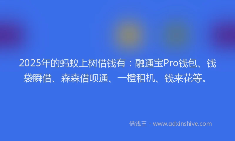 2025年的蚂蚁上树借钱有：融通宝Pro钱包、钱袋瞬借、森森借呗通、一橙租机、钱来花等。