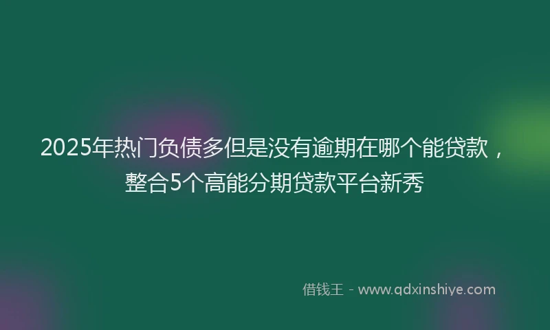 2025年热门负债多但是没有逾期在哪个能贷款，整合5个高能分期贷款平台新秀